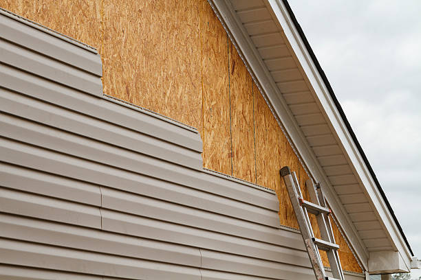 Professional Siding Inspection technician working in Graham, WA